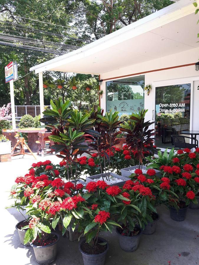 Apartamento ตามฤทัย เฮาส์ Chiang Mai Exterior foto